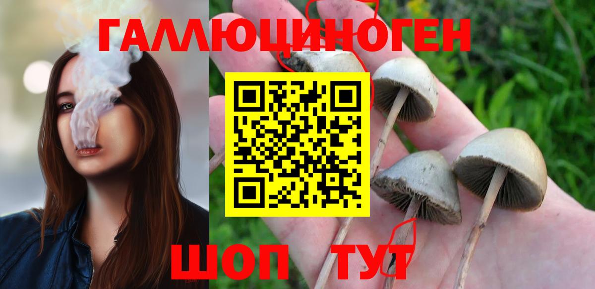 МЕТ  МЕФ кристаллы  КОКАИН  Канабис  Вход с VPN  ГАШ  Славгород  Как найти наркотики? 